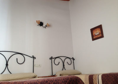Casa-garo-rural-alojamientos-isabel-malaga-17