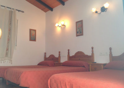 Casa-garo-rural-alojamientos-isabel-malaga-18
