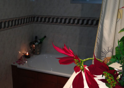 Casa-garo-rural-alojamientos-isabel-malaga-32