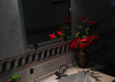 Casa-garo-rural-alojamientos-isabel-malaga-33