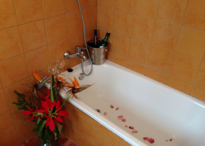 Casa-garo-rural-alojamientos-isabel-malaga-59