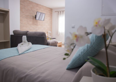 Apartamento-101-alojamientos-isabel-los-prados-malaga-14